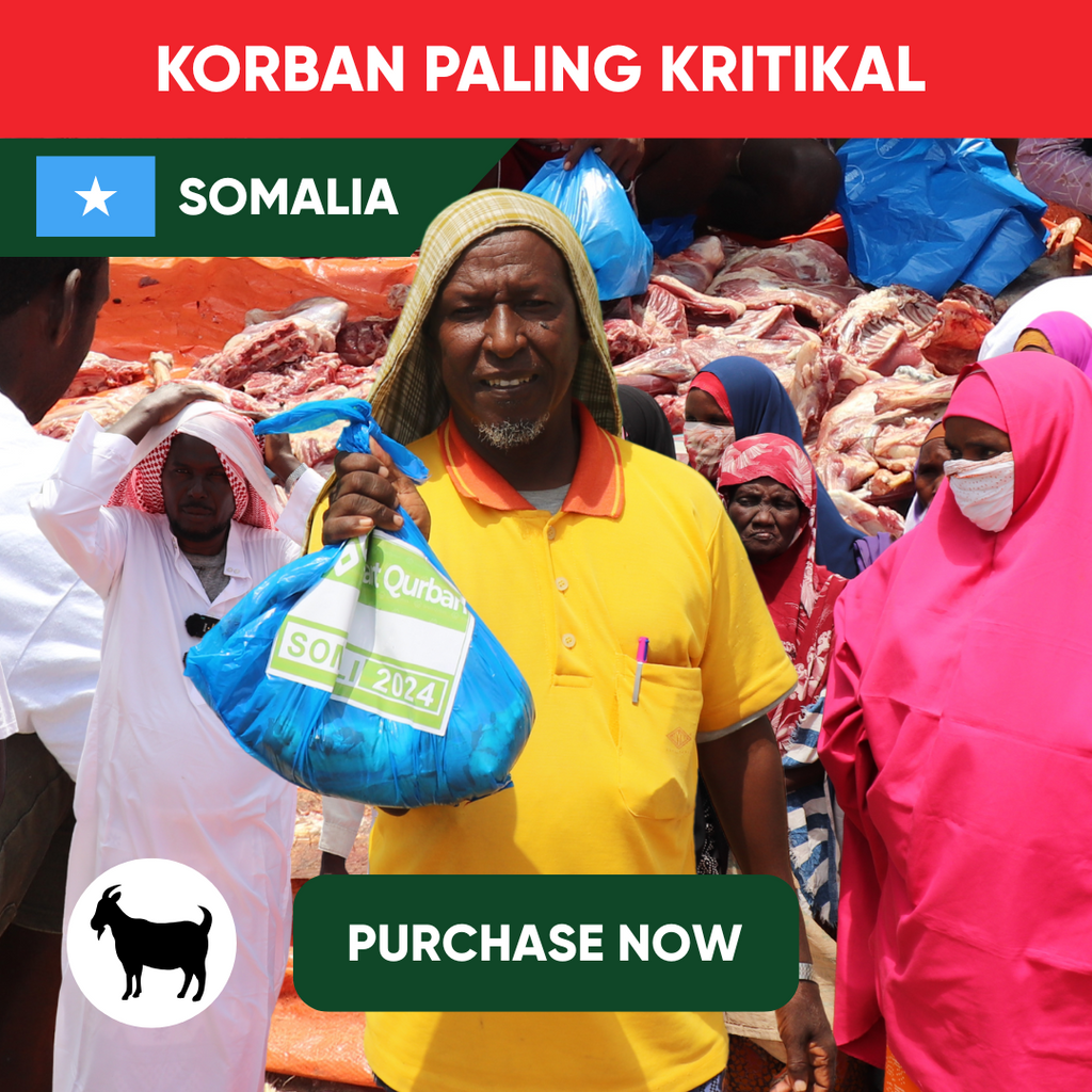 Somalia - Goat