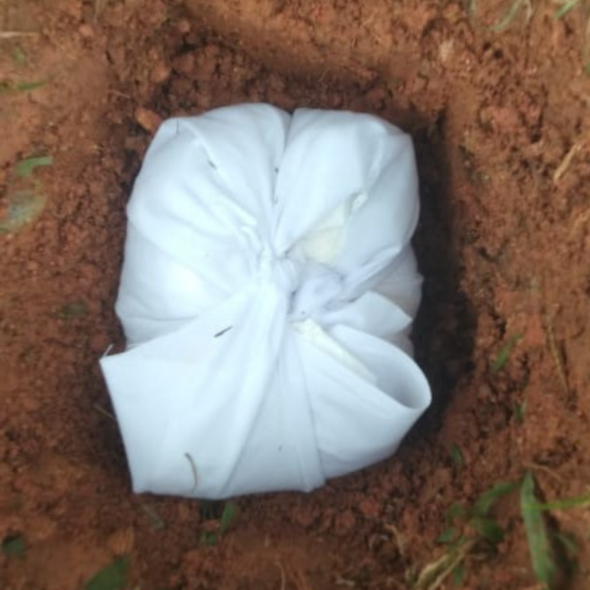 Placenta Burial