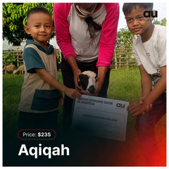 Aqiqah