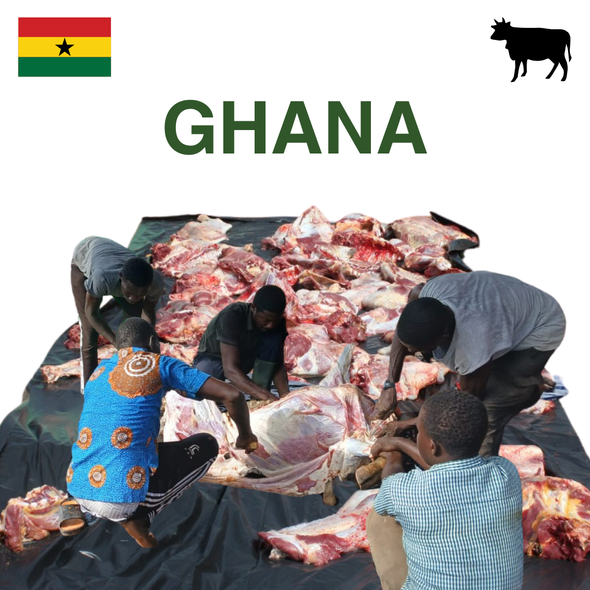 Ghana - Cattle