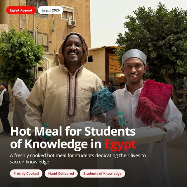Hot Meal for Students of Knowledge in Egypt