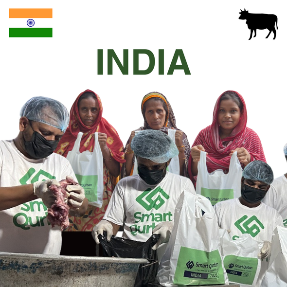 India - Cattle Parts