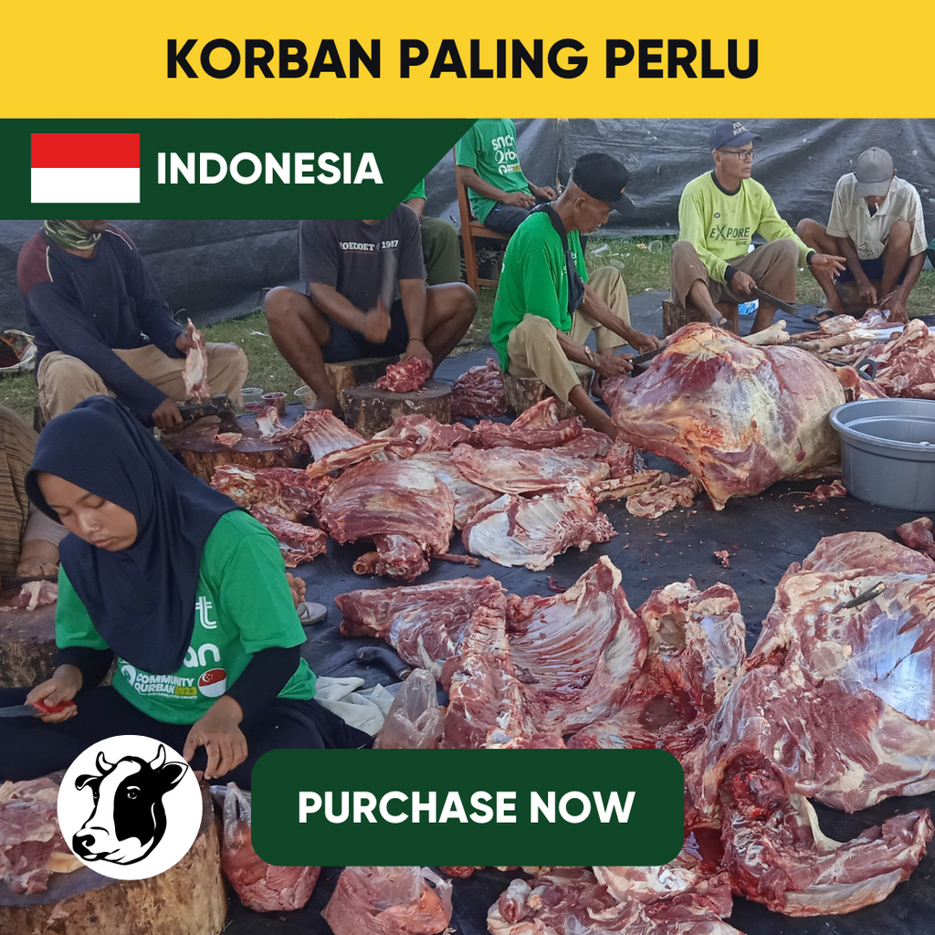 Indonesia - Cattle