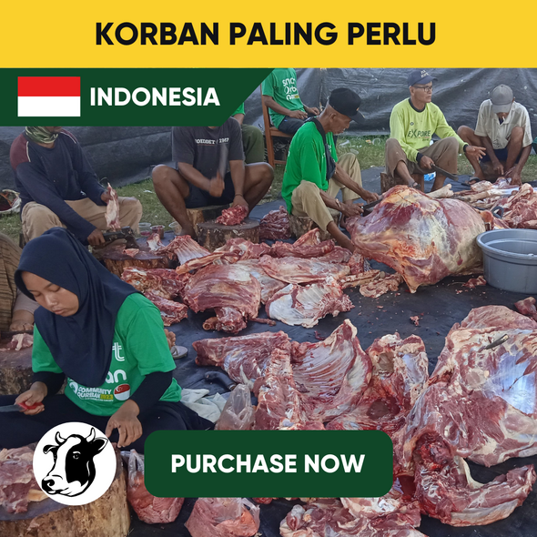 Indonesia - Cattle