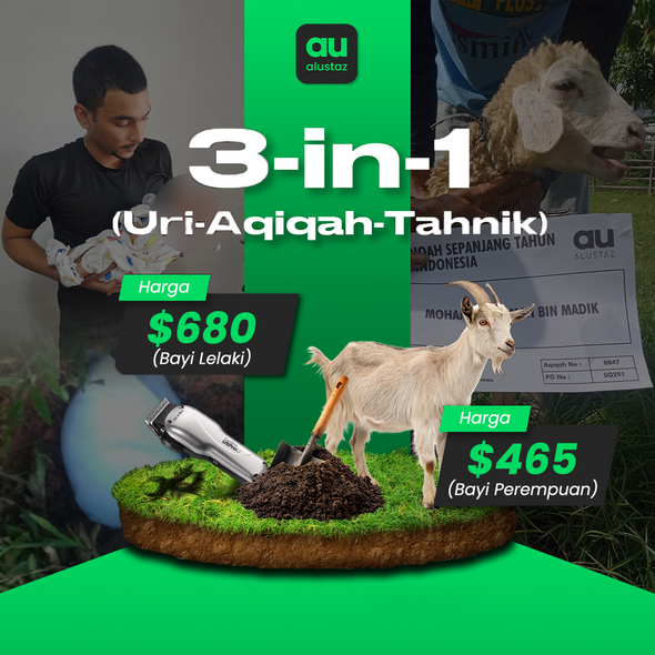 Package 3-in-1