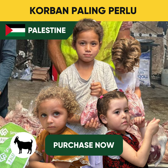 Palestine - Goat