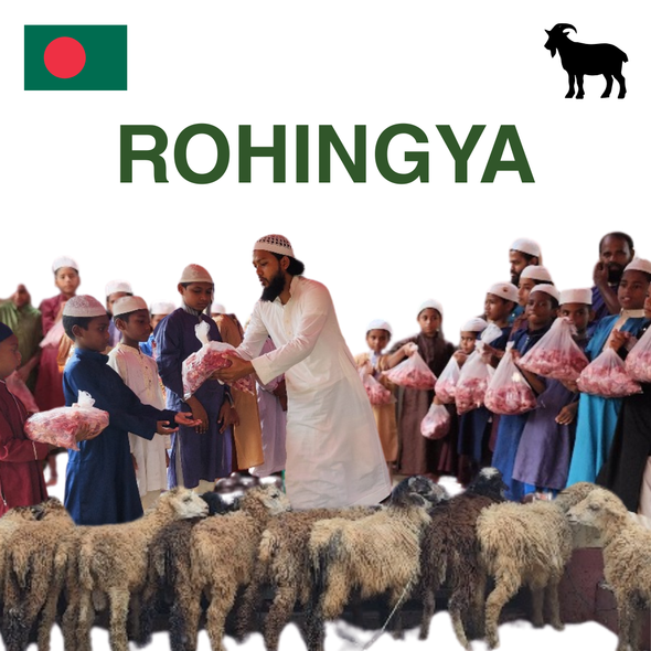 Rohingya - Goat