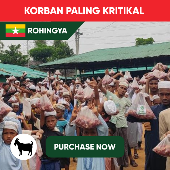 Rohingya - Goat