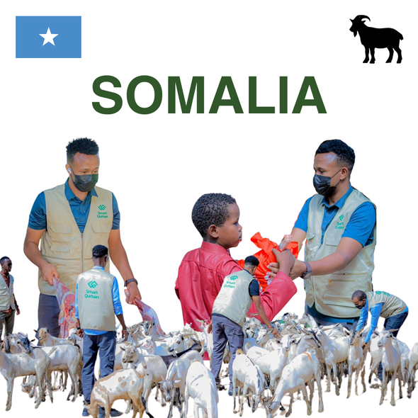 Somalia - Goat