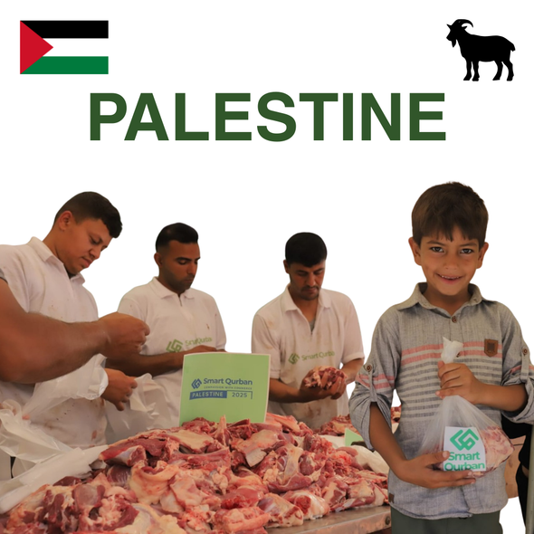 Palestine - Goat