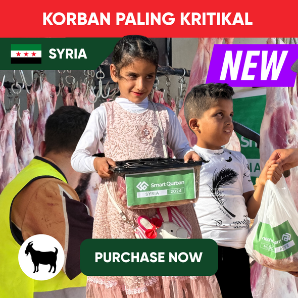 Syria - Goat