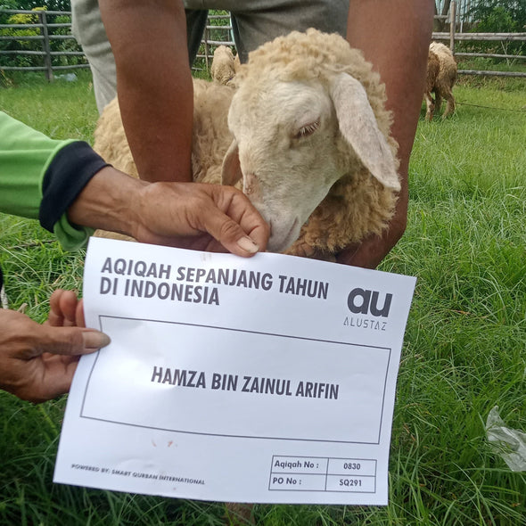 Aqiqah
