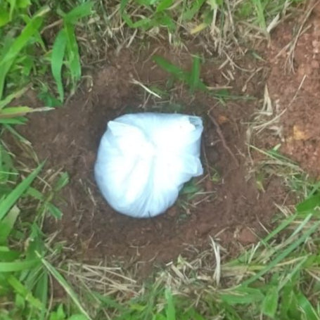 Placenta Burial