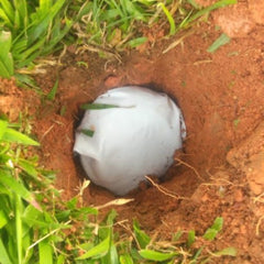 Placenta Burial